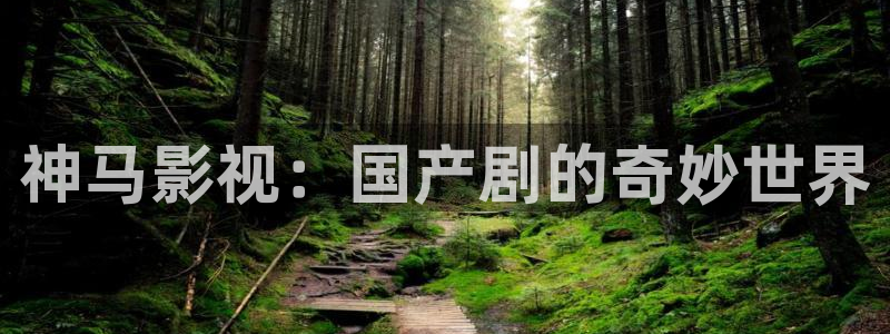 可可影视下载安卓