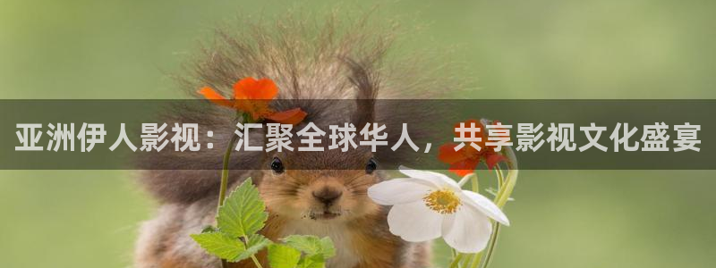 可可影视官网