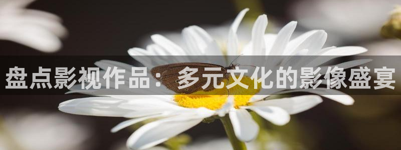 可可影视ios伪装