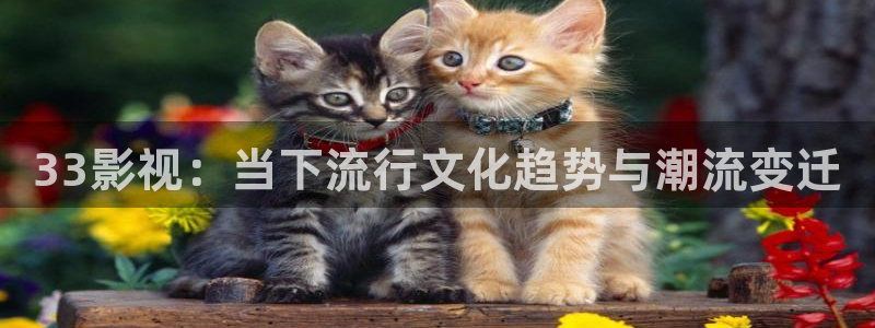 可可影视暗号